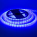 Светодиодная лента синяя 24V smd5050 60LED/м IP65