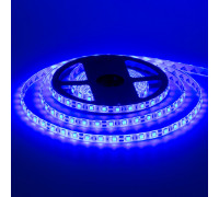 Led лента синяя 12V smd5050 60LED/m IP20, 1м