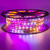 Мигающая led лента Multi-Color 220V smd2835 48LED/m 6Вт/m IP65, 1м